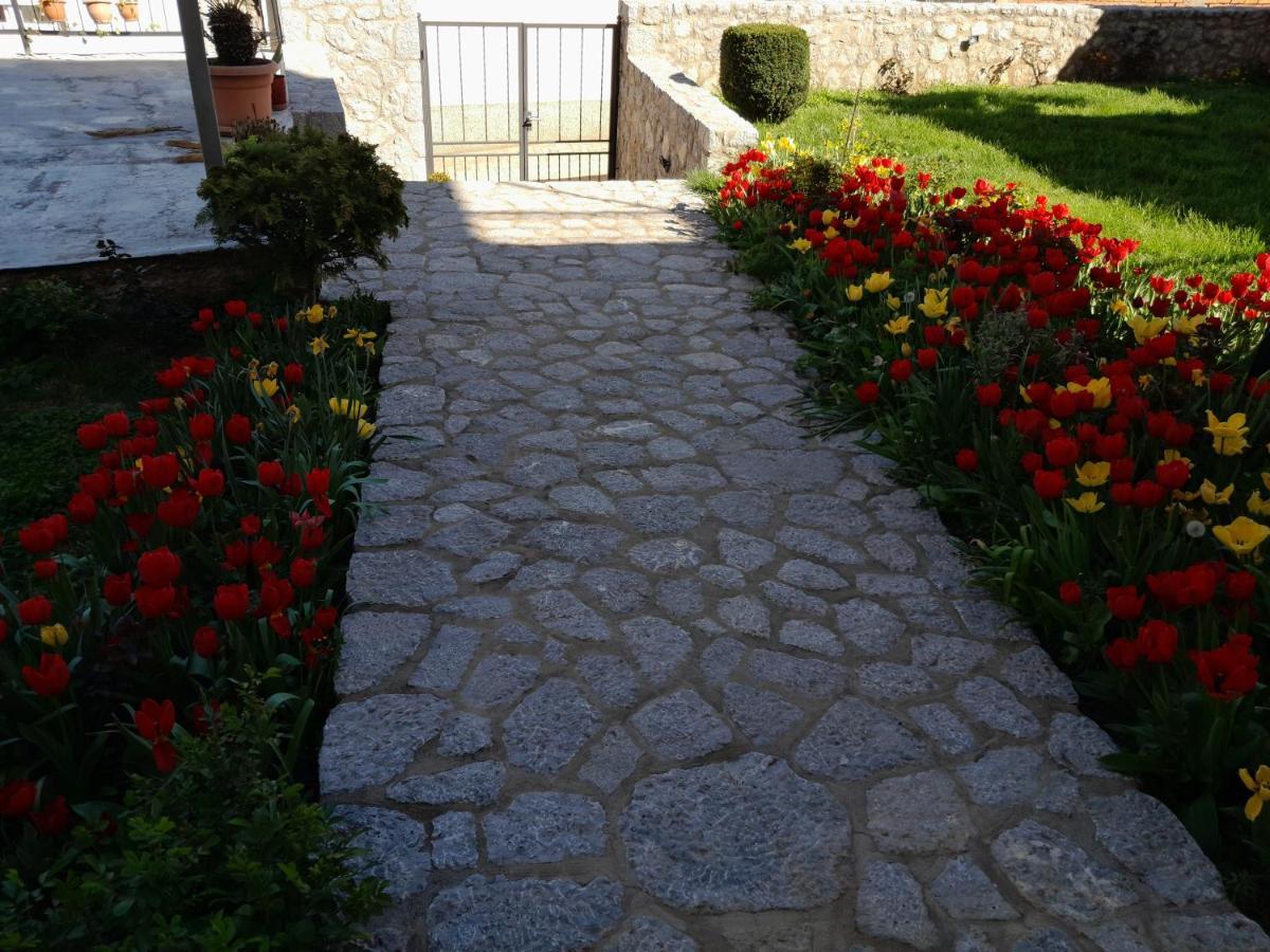 Villa Bella Ohrid Bagian luar foto